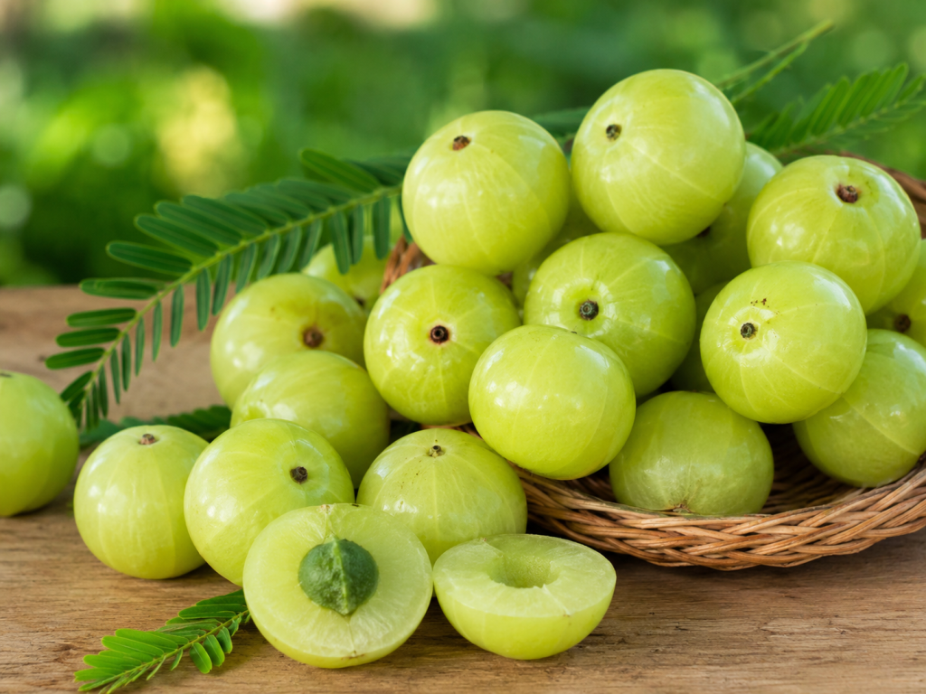 ताज़ा आंवला (Indian Gooseberry) फल